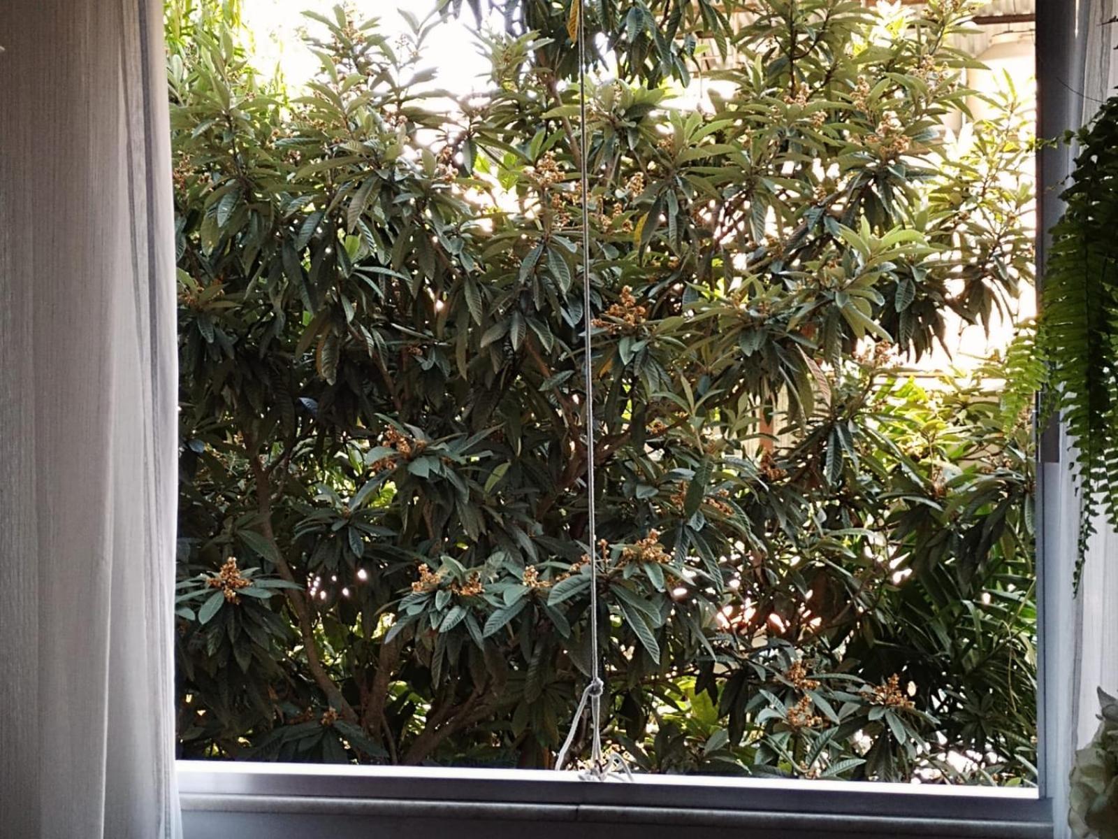 Apartamento Parque Jardim Europa Río de Janeiro Exterior foto
